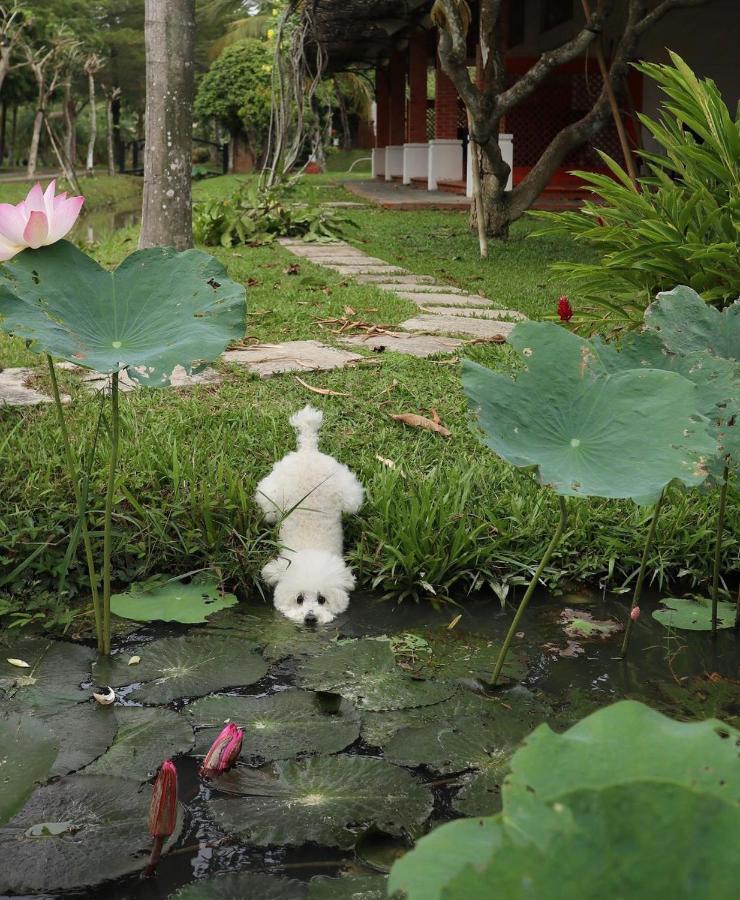 Les Hameaux De L'Orient Hotel Ho Chi Minh-Byen Eksteriør billede