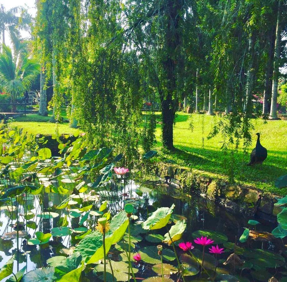 Les Hameaux De L'Orient Hotel Ho Chi Minh-Byen Eksteriør billede