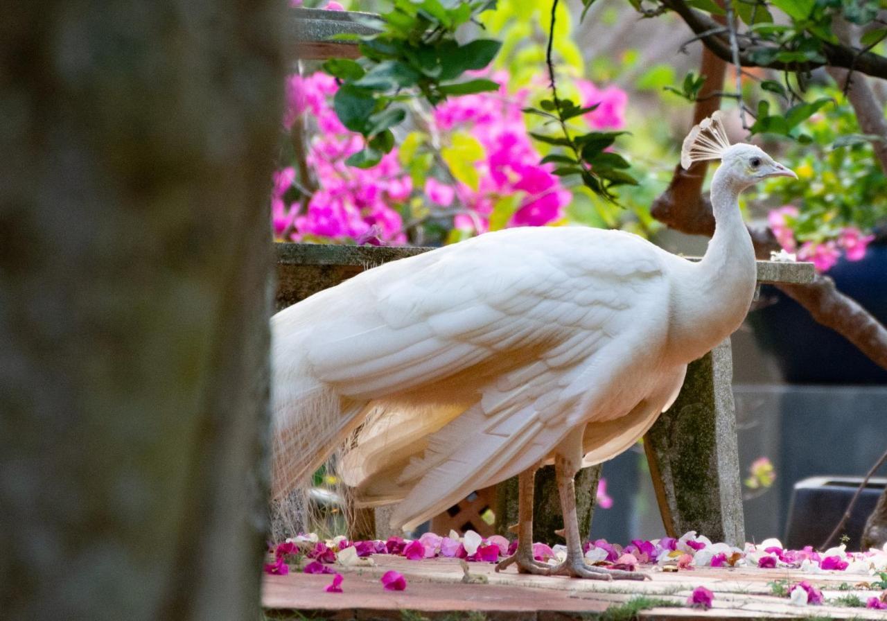 Les Hameaux De L'Orient Hotel Ho Chi Minh-Byen Eksteriør billede